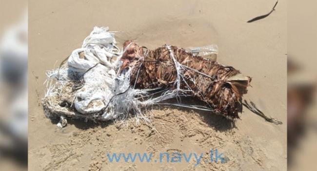 Navy takes hold of smuggled Tendu Leaves